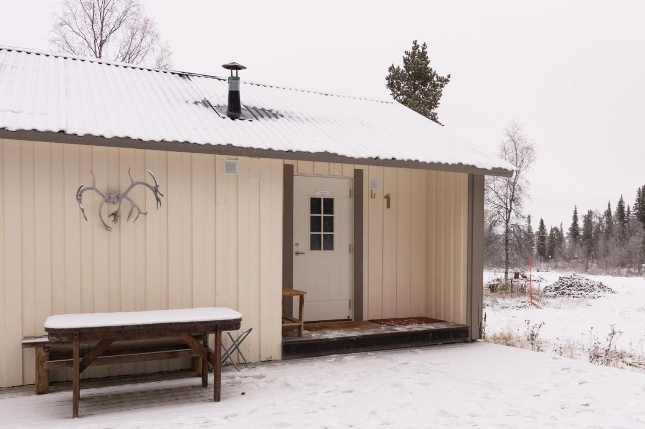 Aurora River Camp Glass Igloos & Cabins Kiruna Exterior foto