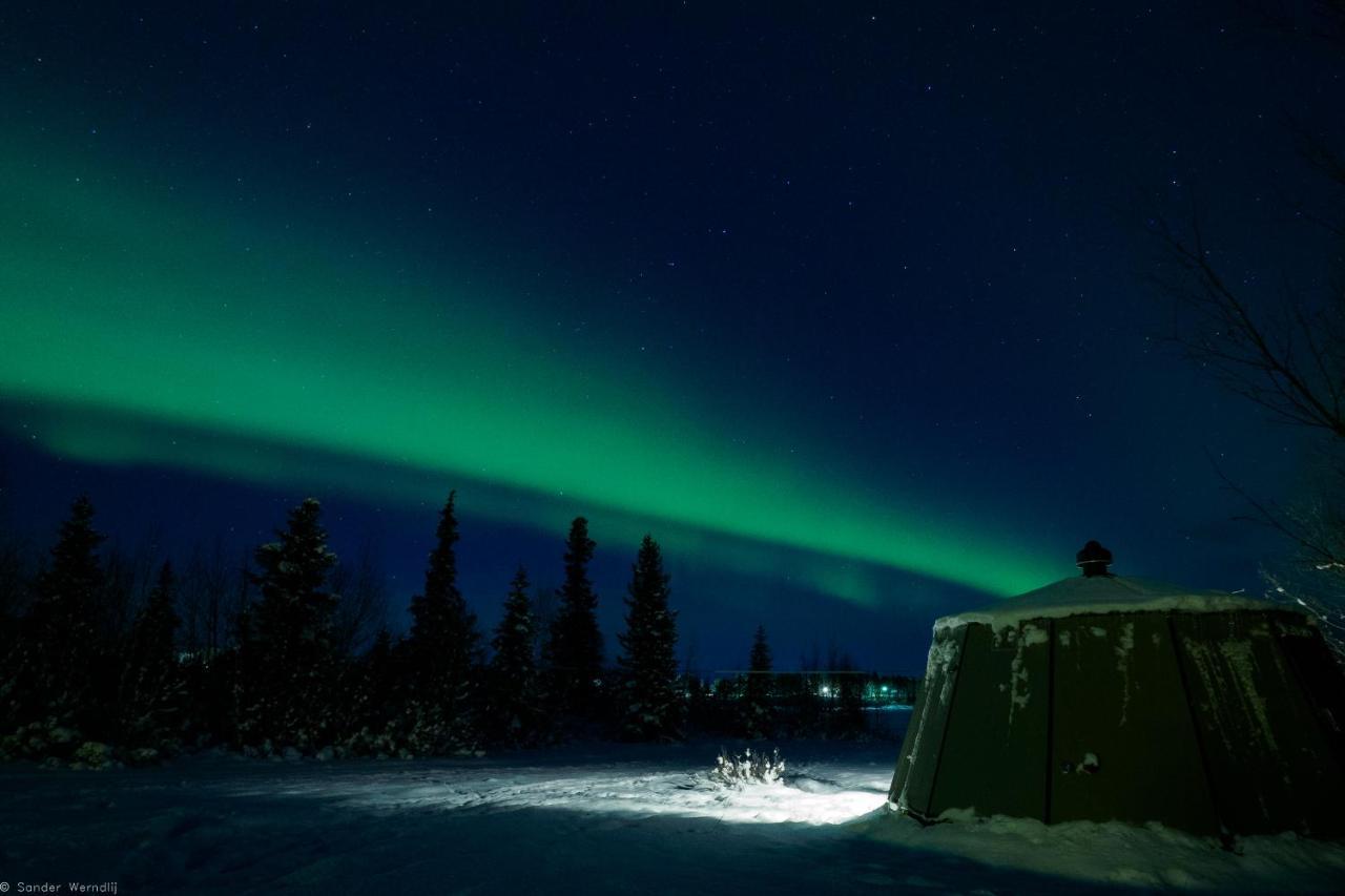 Aurora River Camp Glass Igloos & Cabins Kiruna Exterior foto